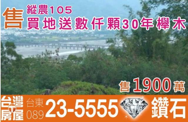 花蓮玉里農地-7